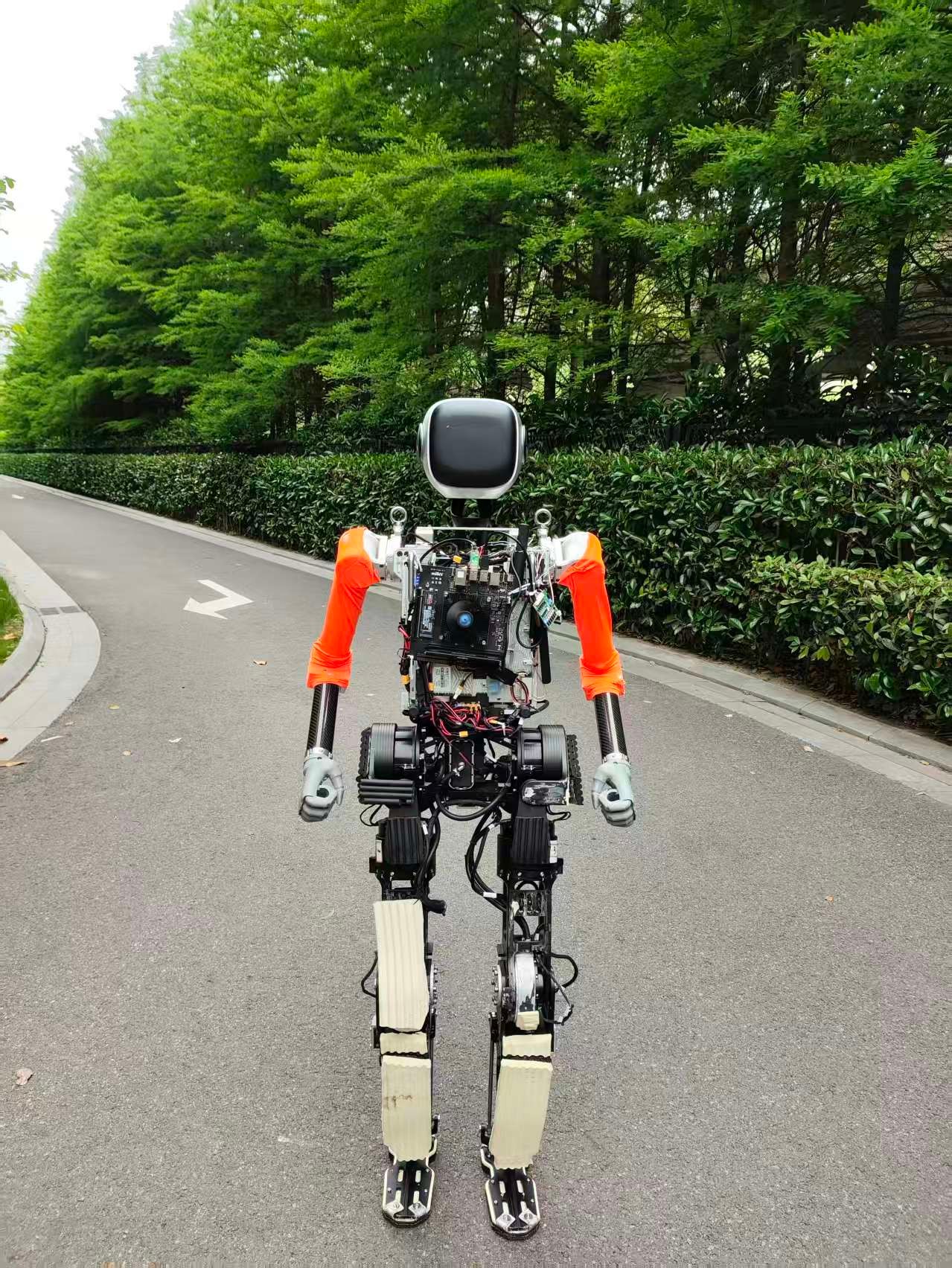 openKylin - 开放麒麟 - openkylin